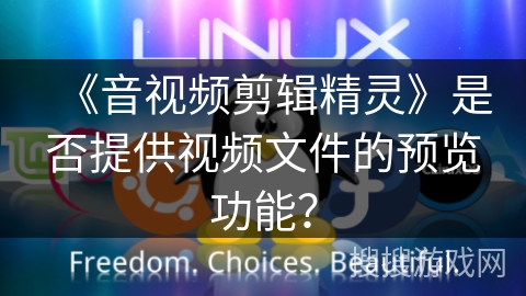 《音视频剪辑精灵》是否提供视频文件的预览功能? 《音视频剪辑精灵》是否提供视频文件的预览功能?