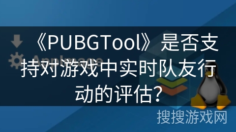 《PUBGTool》是否支持对游戏中实时队友行动的评估？