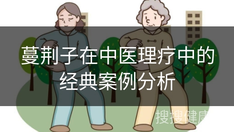 蔓荆子在中医理疗中的经典案例分析