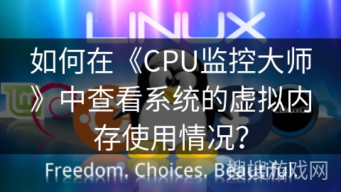 如何在《CPU监控大师》中查看系统的虚拟内存使用情况？