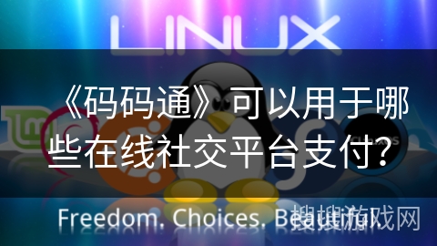 《码码通》可以用于哪些在线社交平台支付？