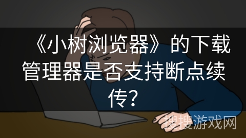 《小树浏览器》的下载管理器是否支持断点续传？