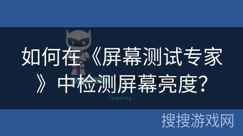 如何在《屏幕测试专家》中检测屏幕亮度？