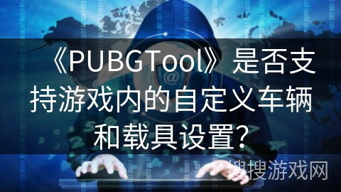 《PUBGTool》是否支持游戏内的自定义车辆和载具设置？