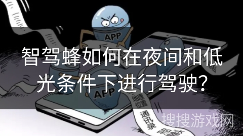 智驾蜂如何在夜间和低光条件下进行驾驶？