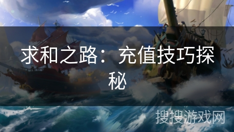 求和之路：充值技巧探秘