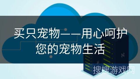 买只宠物——用心呵护您的宠物生活