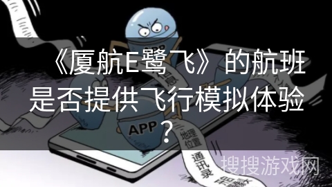 《厦航E鹭飞》的航班是否提供飞行模拟体验？