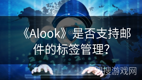 《Alook》是否支持邮件的标签管理？