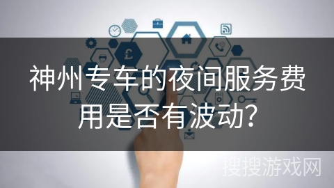 神州专车的夜间服务费用是否有波动？