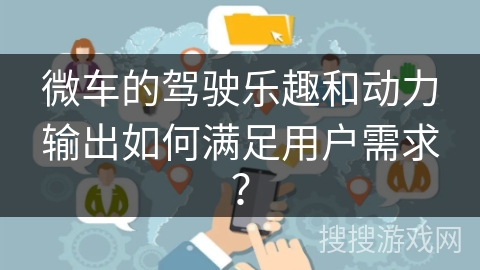 微车的驾驶乐趣和动力输出如何满足用户需求？