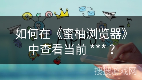 如何在《蜜柚浏览器》中查看当前 *** ? 如何在《蜜柚浏览器》中查看当前 *** ?