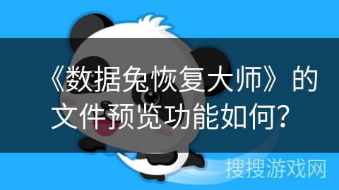 《数据兔恢复大师》的文件预览功能如何？