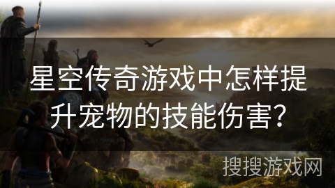 星空传奇游戏中怎样提升宠物的技能伤害？