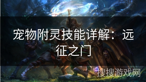 宠物附灵技能详解：远征之门