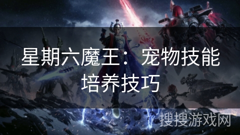 星期六魔王：宠物技能培养技巧