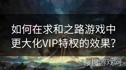 如何在求和之路游戏中更大化VIP特权的效果？