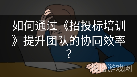 如何通过《招投标培训》提升团队的协同效率？