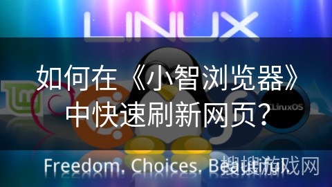 如何在《小智浏览器》中快速刷新网页？