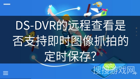 DS-DVR的远程查看是否支持即时图像抓拍的定时保存？