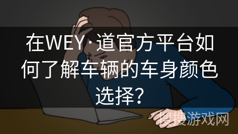 在WEY·道官方平台如何了解车辆的车身颜色选择？