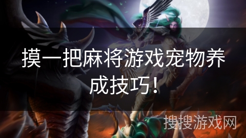 摸一把麻将游戏宠物养成技巧! 摸一把麻将游戏宠物养成技巧!