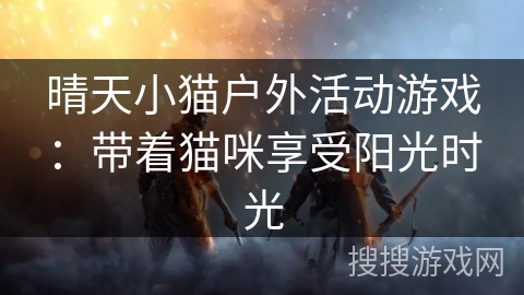 晴天小猫户外活动游戏：带着猫咪享受阳光时光