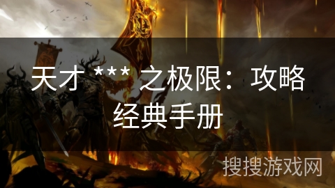天才 *** 之极限：攻略经典手册