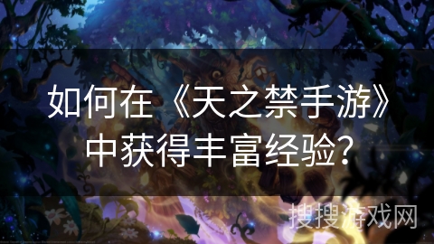 如何在《天之禁手游》中获得丰富经验？