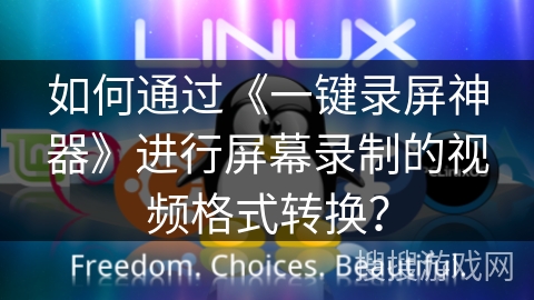 如何通过《一键录屏神器》进行屏幕录制的视频格式转换？