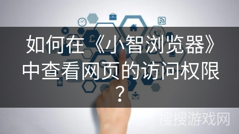 如何在《小智浏览器》中查看网页的访问权限？
