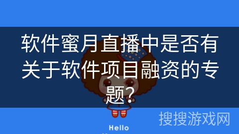 软件蜜月直播中是否有关于软件项目融资的专题？