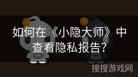 如何在《小隐大师》中查看隐私报告？