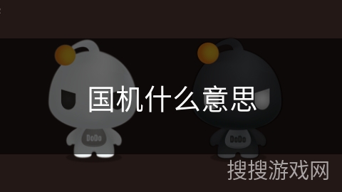 国机什么意思