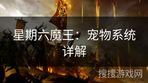 星期六魔王：宠物系统详解