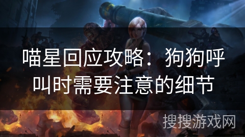 喵星回应攻略：狗狗呼叫时需要注意的细节