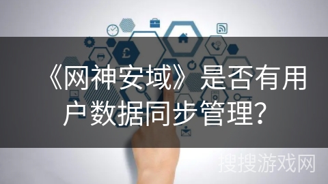 《网神安域》是否有用户数据同步管理？