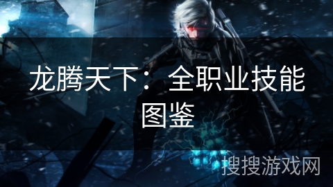 龙腾天下：全职业技能图鉴