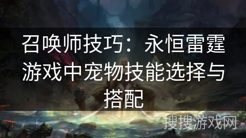 召唤师技巧：永恒雷霆游戏中宠物技能选择与搭配