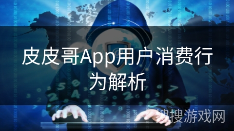 皮皮哥App用户消费行为解析