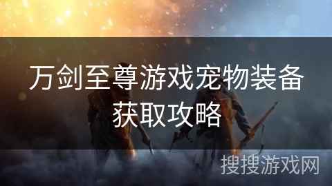 万剑至尊游戏宠物装备获取攻略