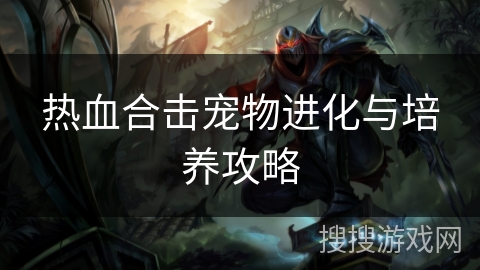 热血合击宠物进化与培养攻略