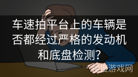 车速拍平台上的车辆是否都经过严格的发动机和底盘检测？