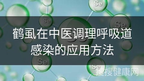 鹤虱在中医调理呼吸道感染的应用方法