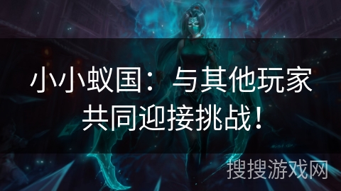 小小蚁国：与其他玩家共同迎接挑战！