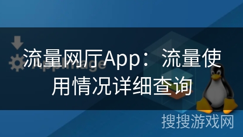 流量网厅App：流量使用情况详细查询