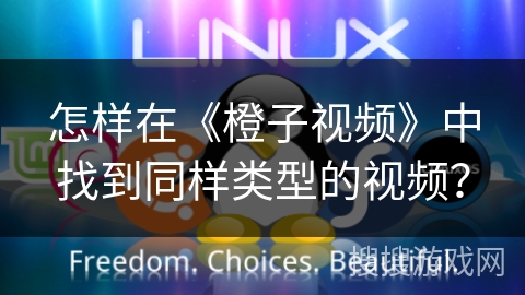 怎样在《橙子视频》中找到同样类型的视频？