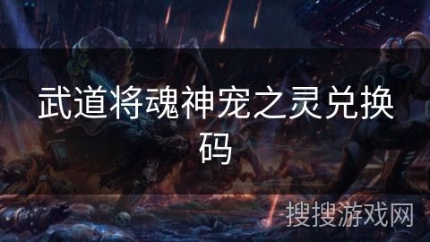 武道将魂神宠之灵兑换码