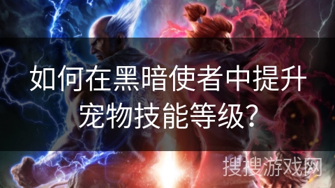 如何在黑暗使者中提升宠物技能等级？