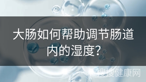 大肠如何帮助调节肠道内的湿度？